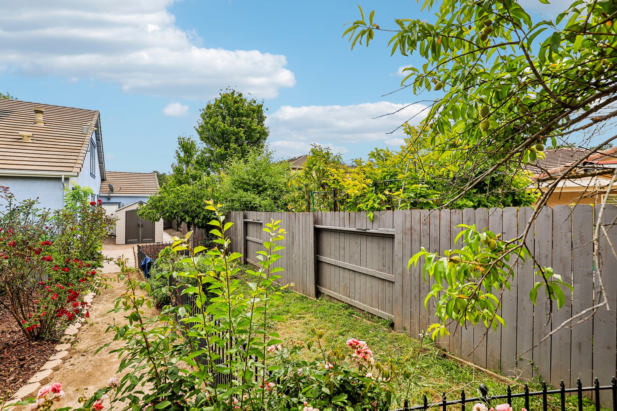 Clarissa Dr-S2104-040r.jpg