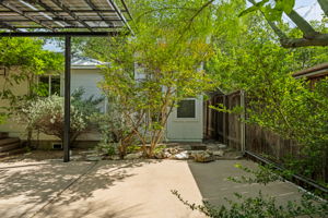 Photo 43