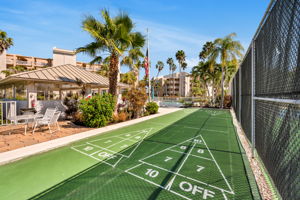 Shuffleboard