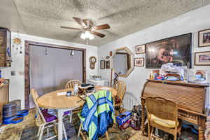  Photo 47