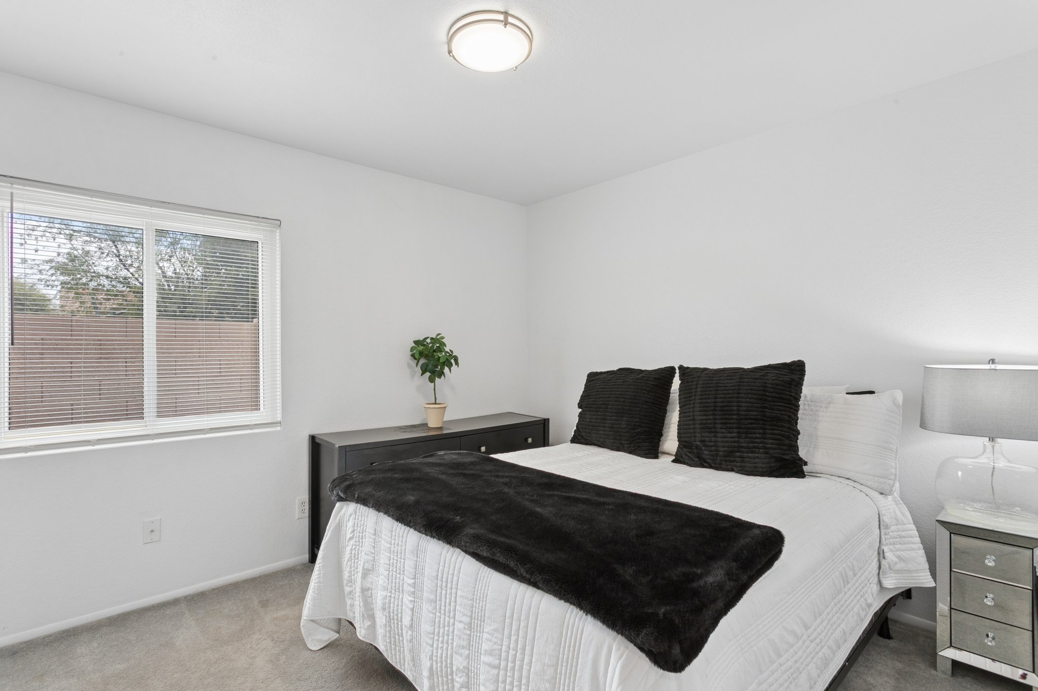 901 W Juanita Ave Gilbert - 29