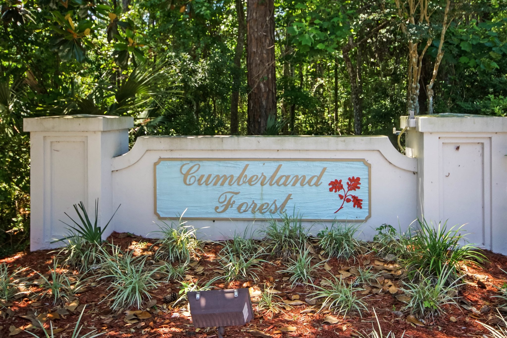 Cumberland Forest