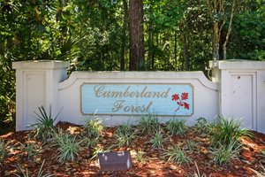 Cumberland Forest