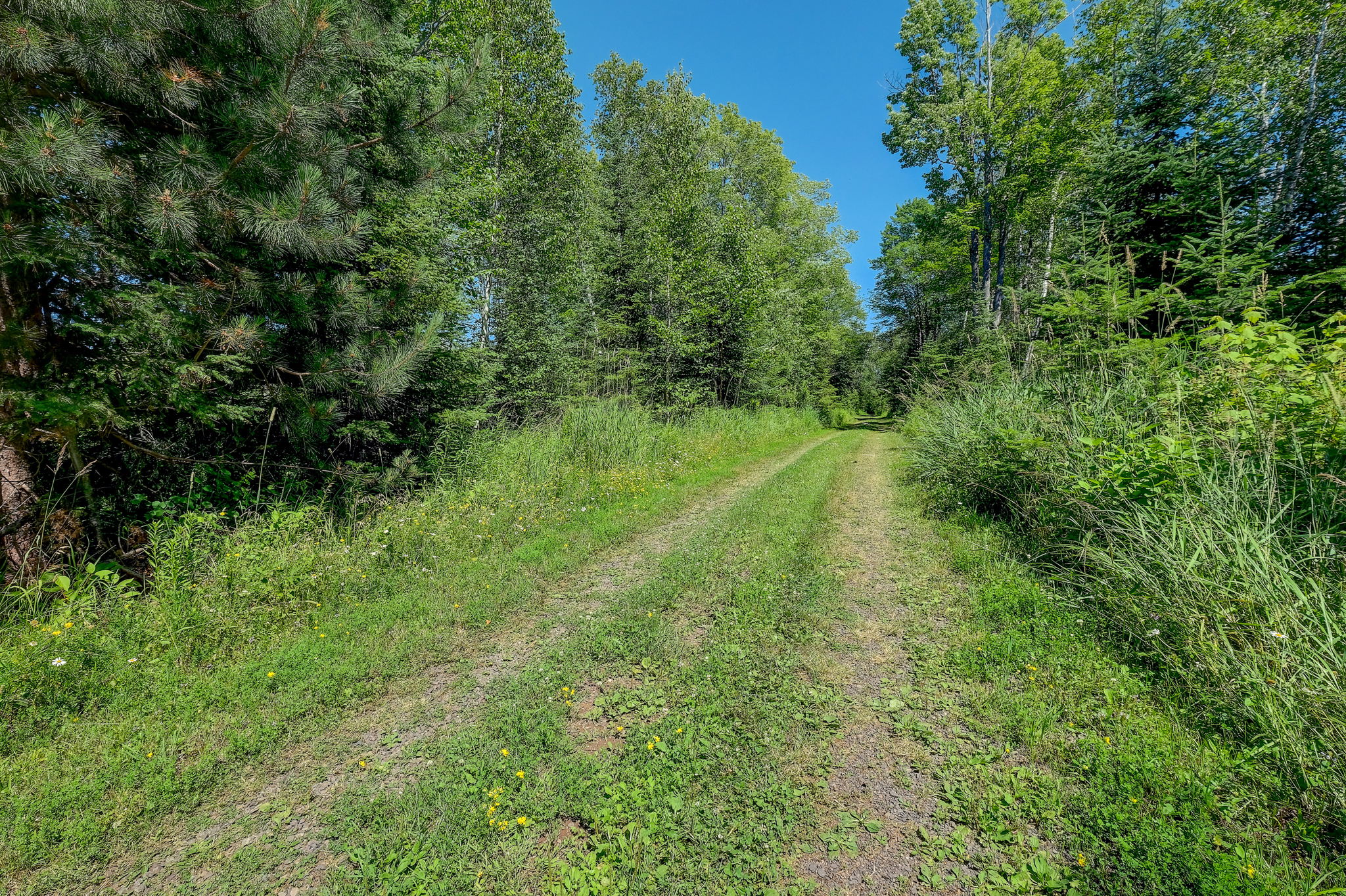28 Driveway