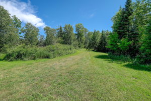 27 Front yard