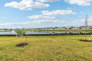 South Florida - Azalea - 9014 Dahlia Cir, Port St. Lucie, FL 34986 - 034