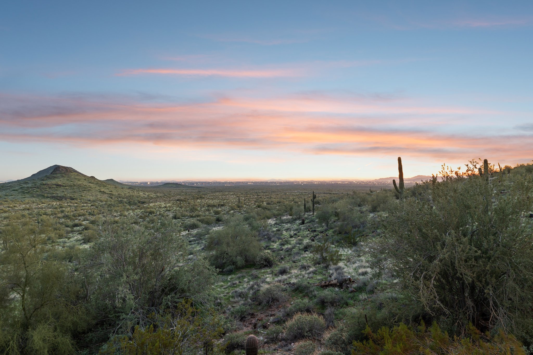 9020 Flying Butte, Fountain Hills, AZ 85268 - 008.jpg