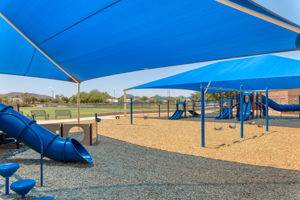 Community Park