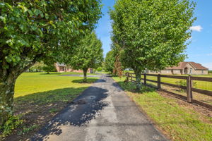  Photo 0