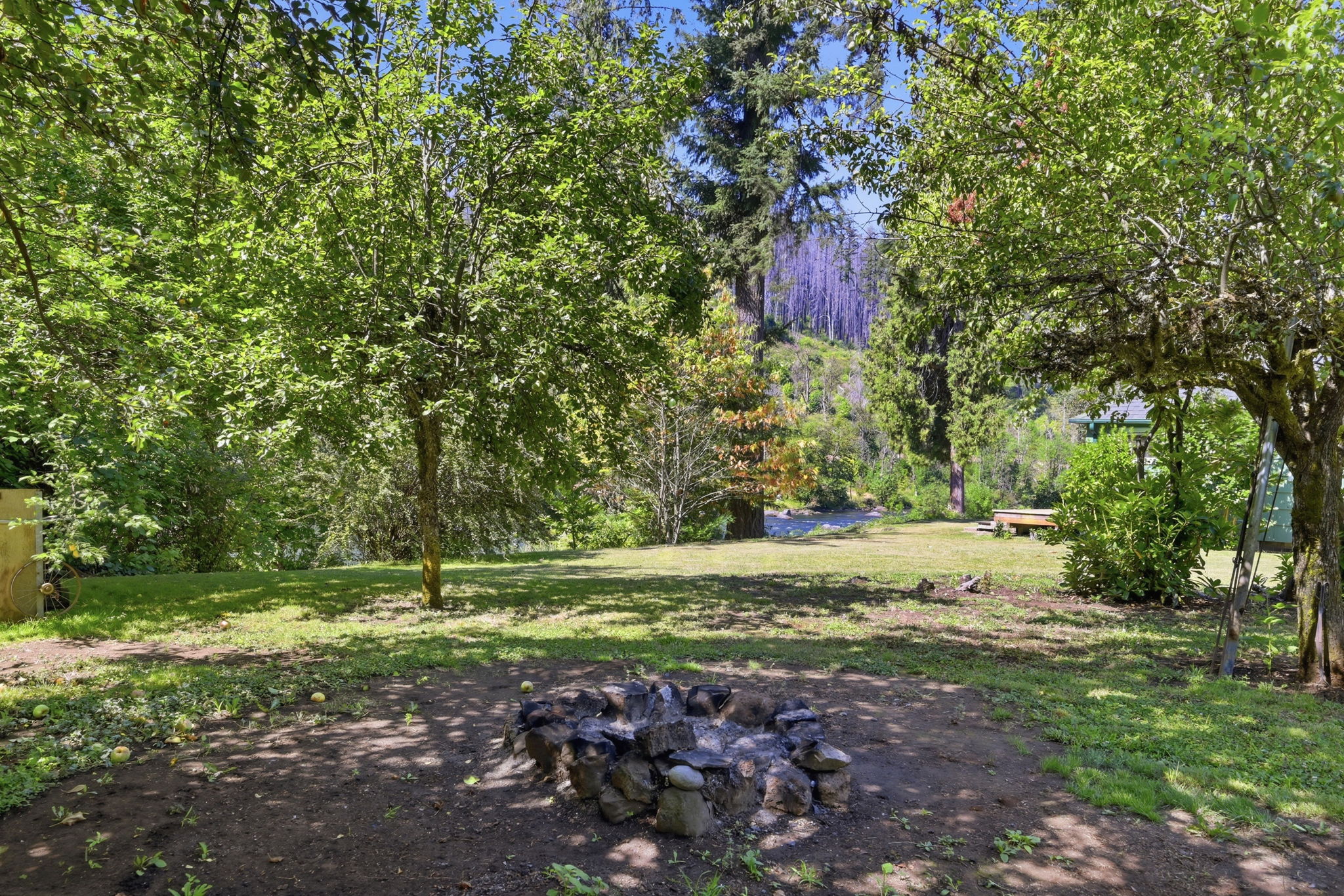  Photo 43