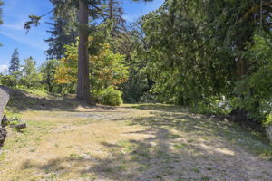  Photo 50