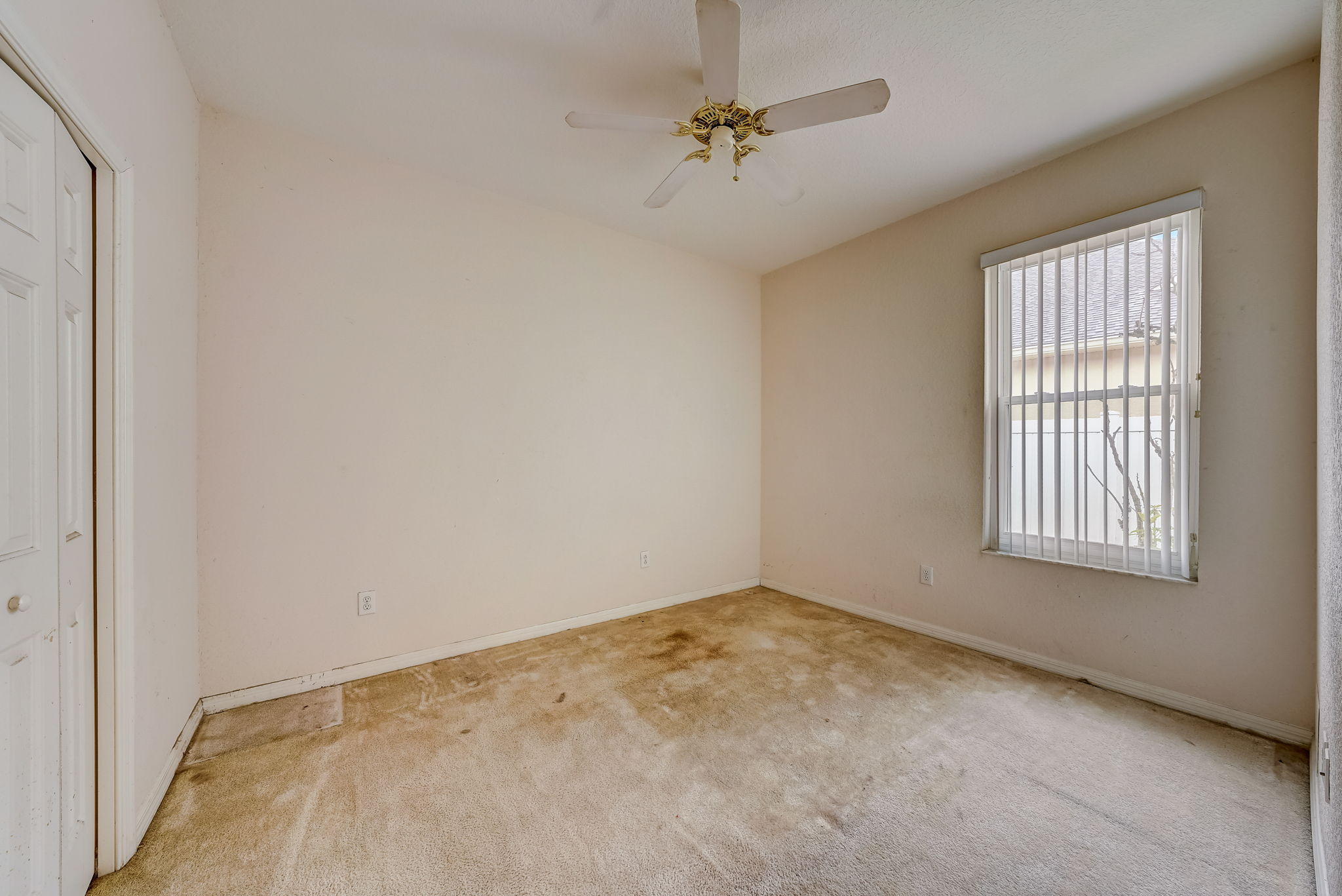Pinebreeze Dr-041