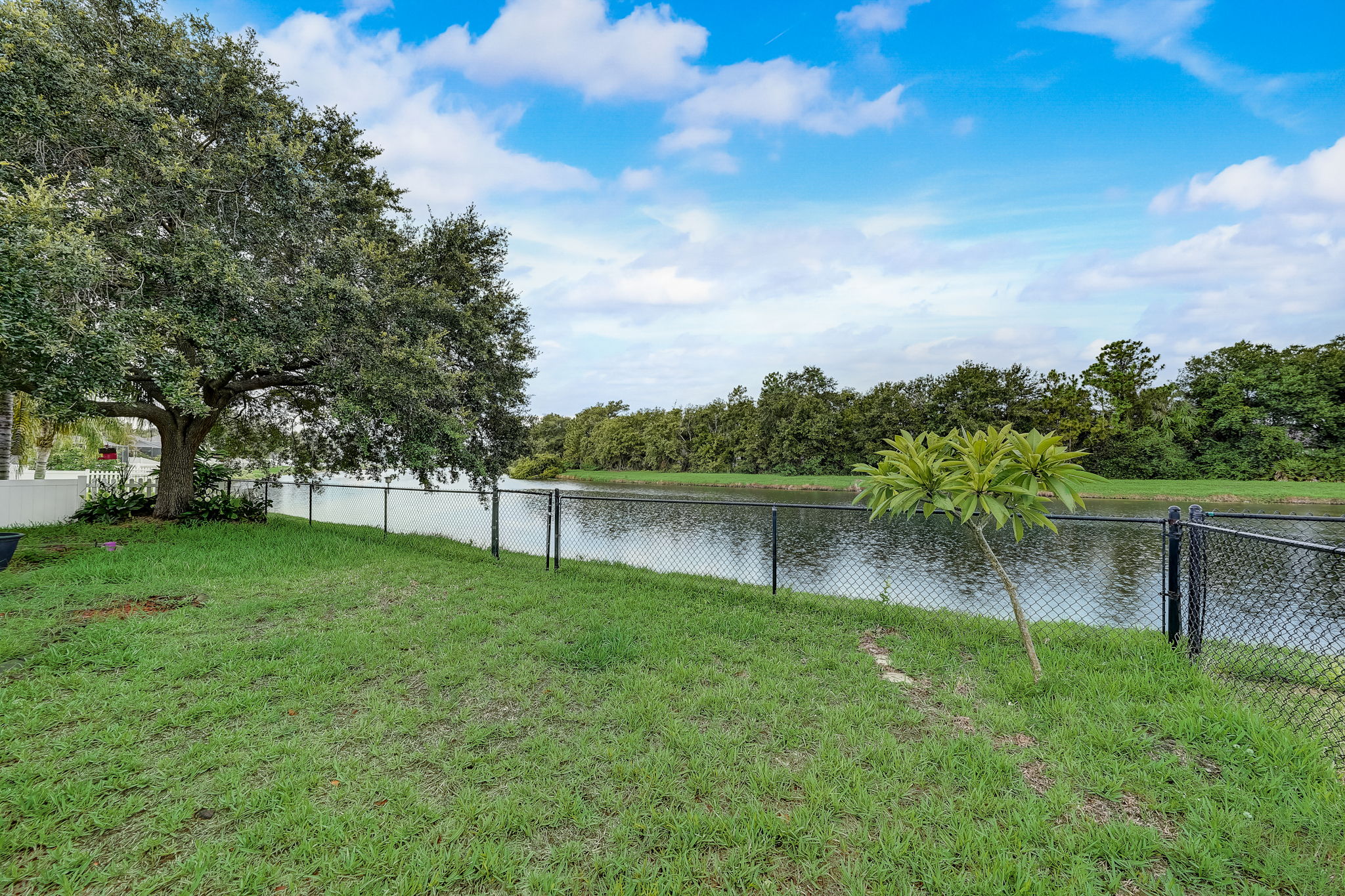 Pinebreeze Dr-051