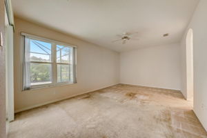 Pinebreeze Dr-031