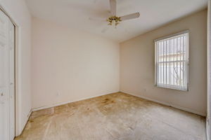 Pinebreeze Dr-041