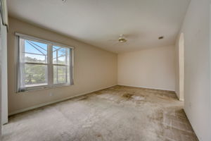 Pinebreeze Dr-029