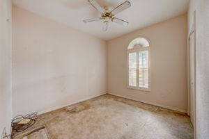Pinebreeze Dr-038