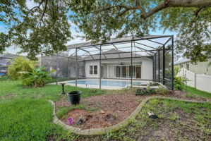 Pinebreeze Dr-055