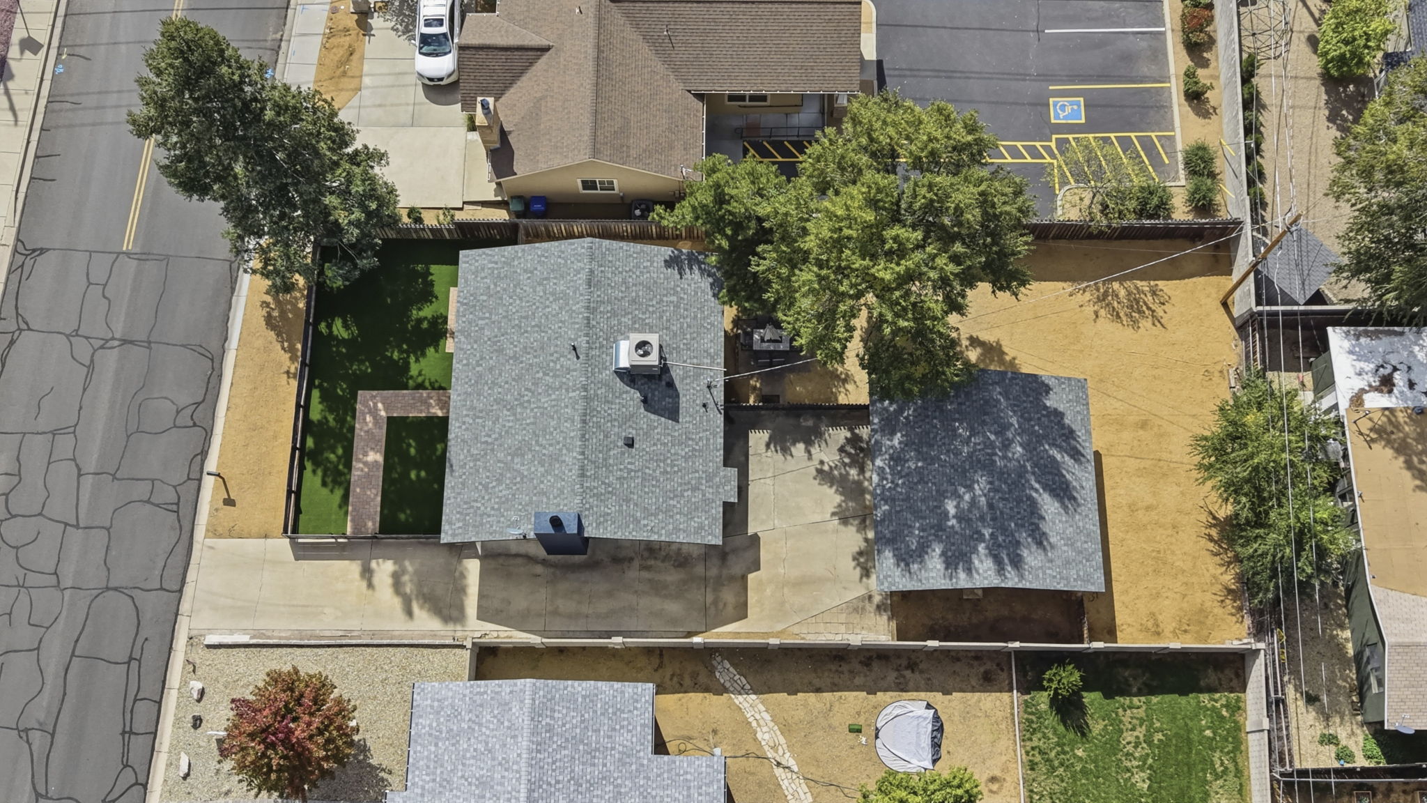 Birds Eye