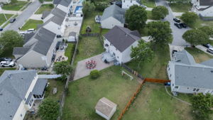  Photo 41