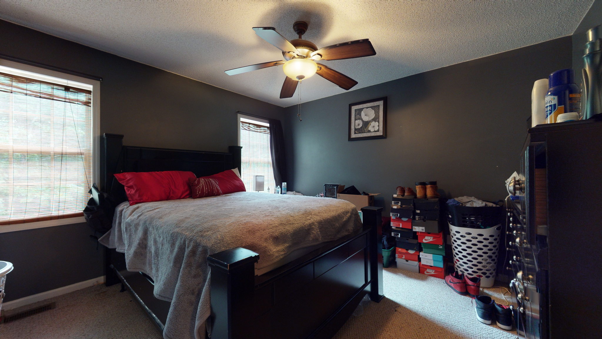 Photo 23