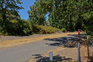  9041 Craydon Cir, San Ramon, CA 94583, US Photo 29