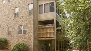 Image-49
