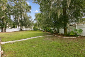 Back Yard