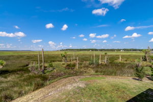 Marsh Views