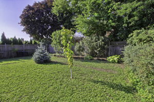  Photo 52