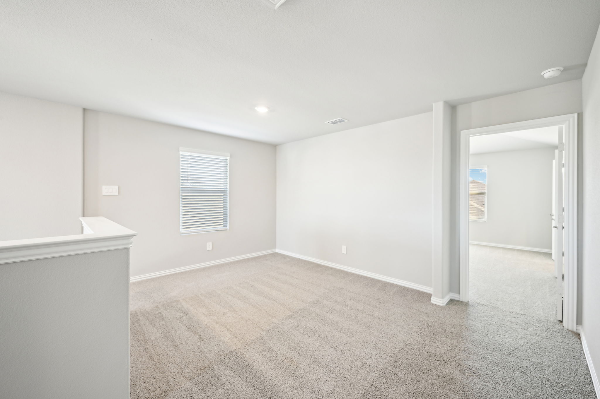 DFW - Eastridge - 905 Rosemary Hill Dr, Princeton, TX 75407 - 025