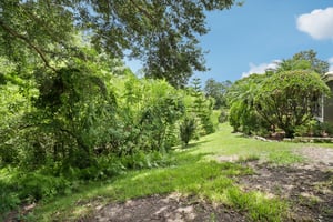 St Andrews Way-S1807-036.jpg