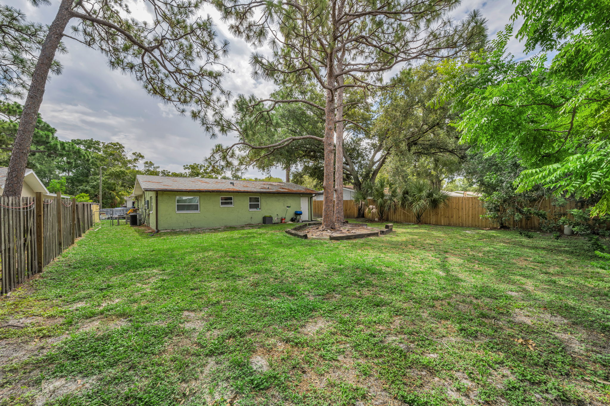 Backyard 4