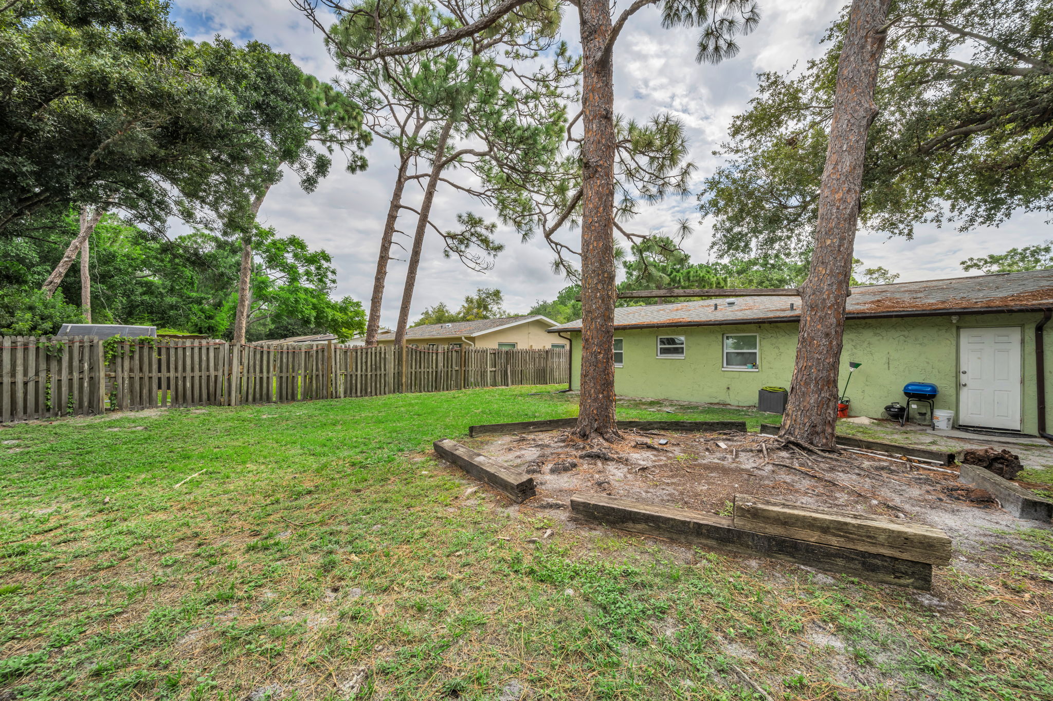 Backyard 5