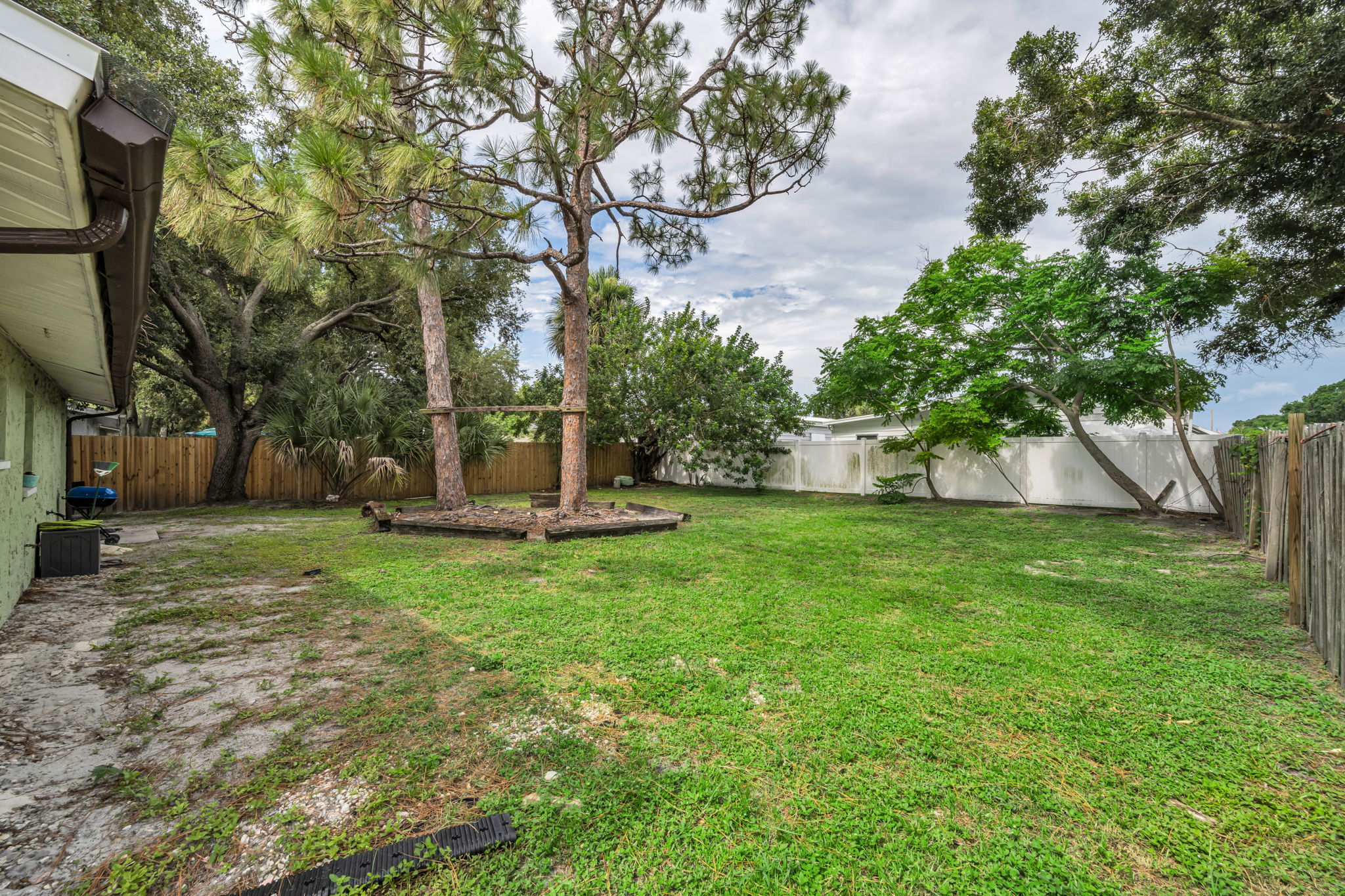 Backyard 3