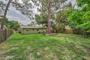 Backyard 4