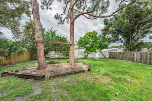 Backyard 2