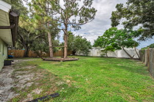 Backyard 3
