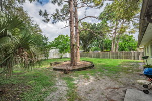 Backyard 1