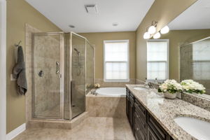 Primary Bath View 2