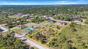 Drone Shot 3_Wtih Lot Line.jpg