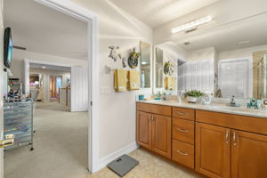 Primary Bathroom (3)