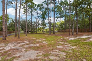 Birmingham Ave-S0109-042.jpg
