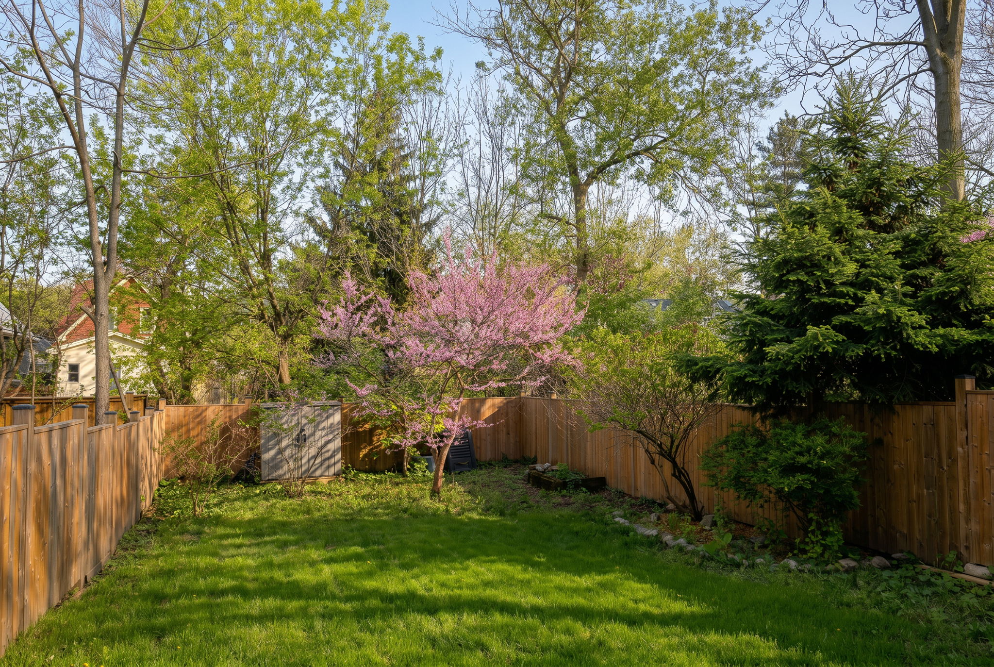  Photo 25