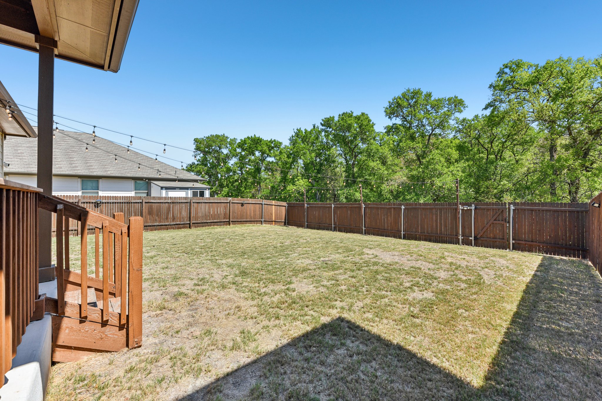 Goldilocks Ln-S2503-037.jpg