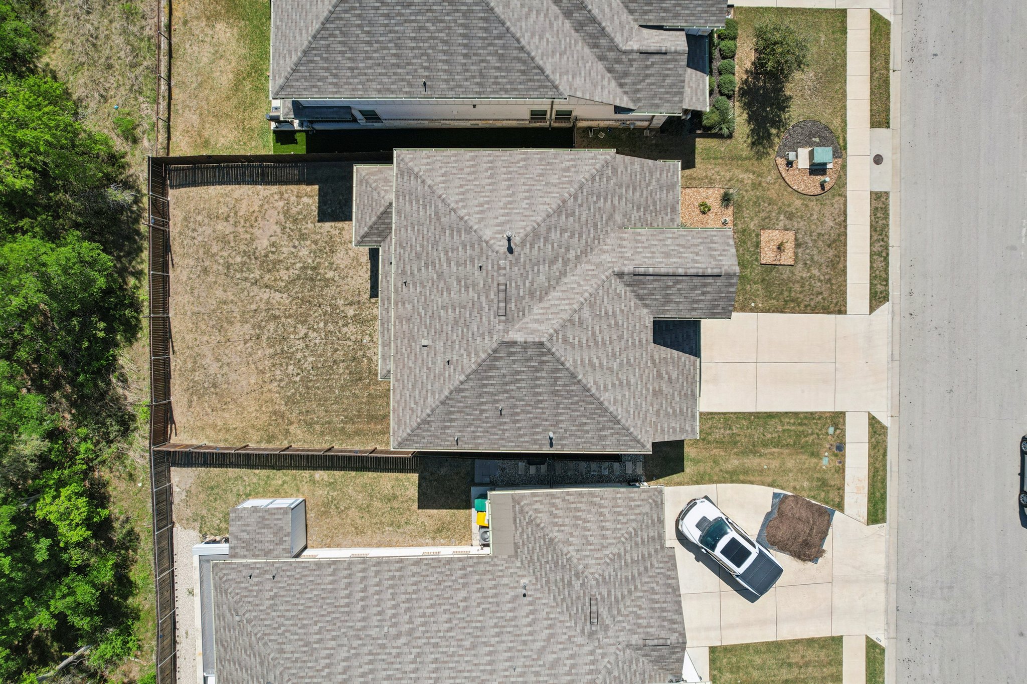 Goldilocks Ln-S2503-048.jpg