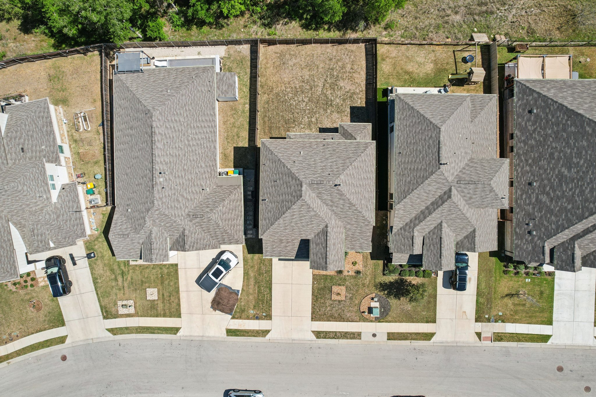 Goldilocks Ln-S2503-049.jpg