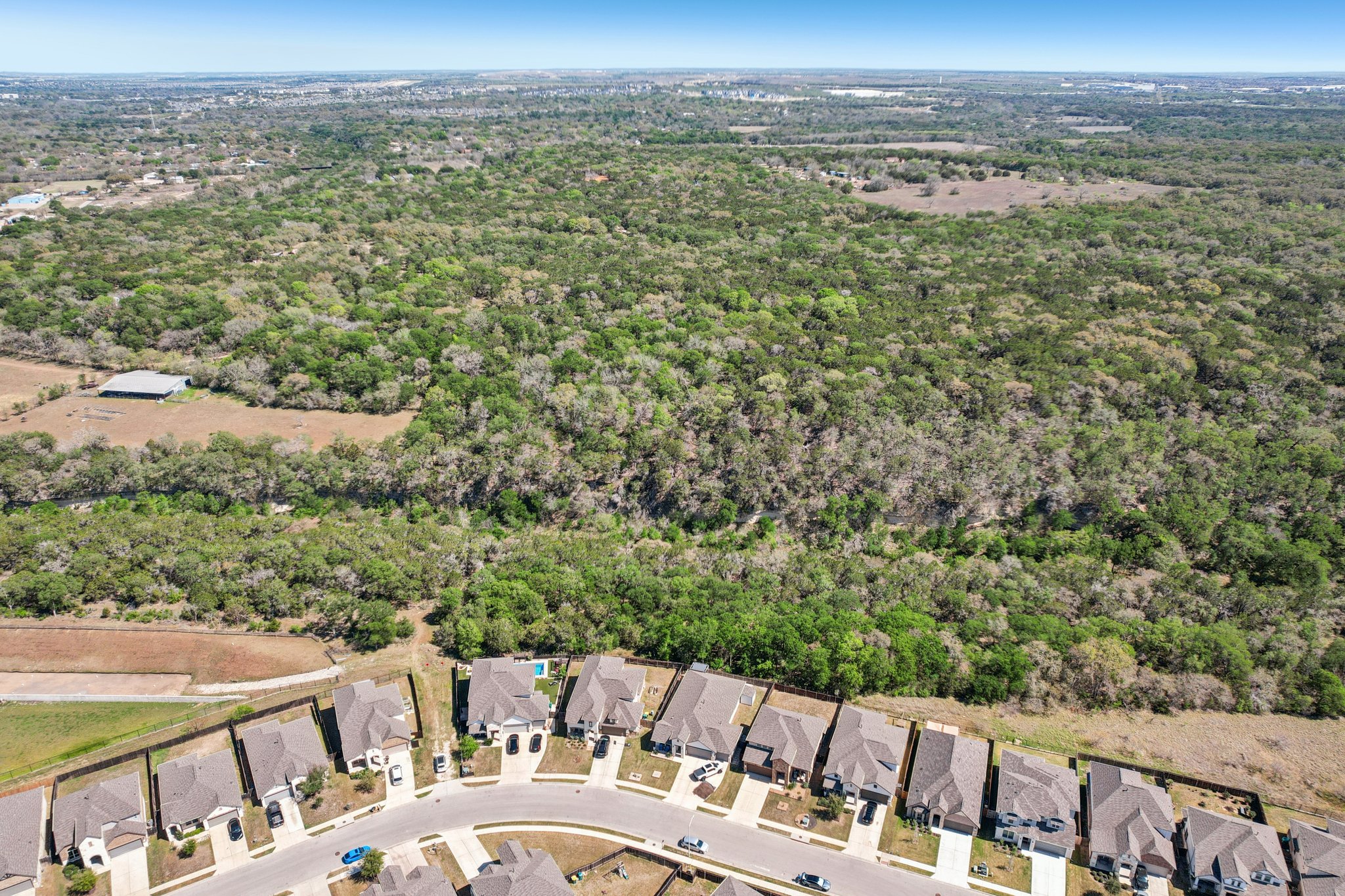 Goldilocks Ln-S2503-052.jpg