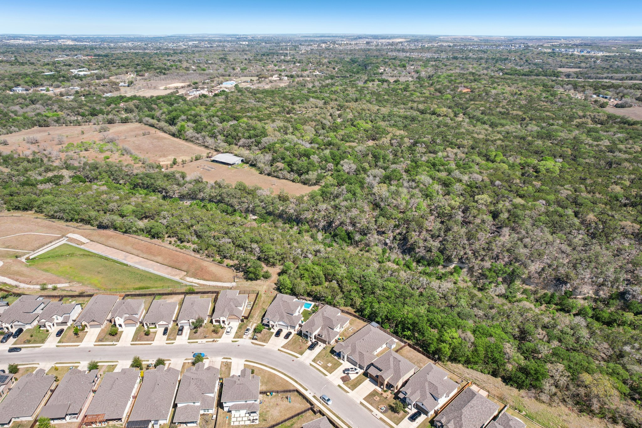 Goldilocks Ln-S2503-053.jpg