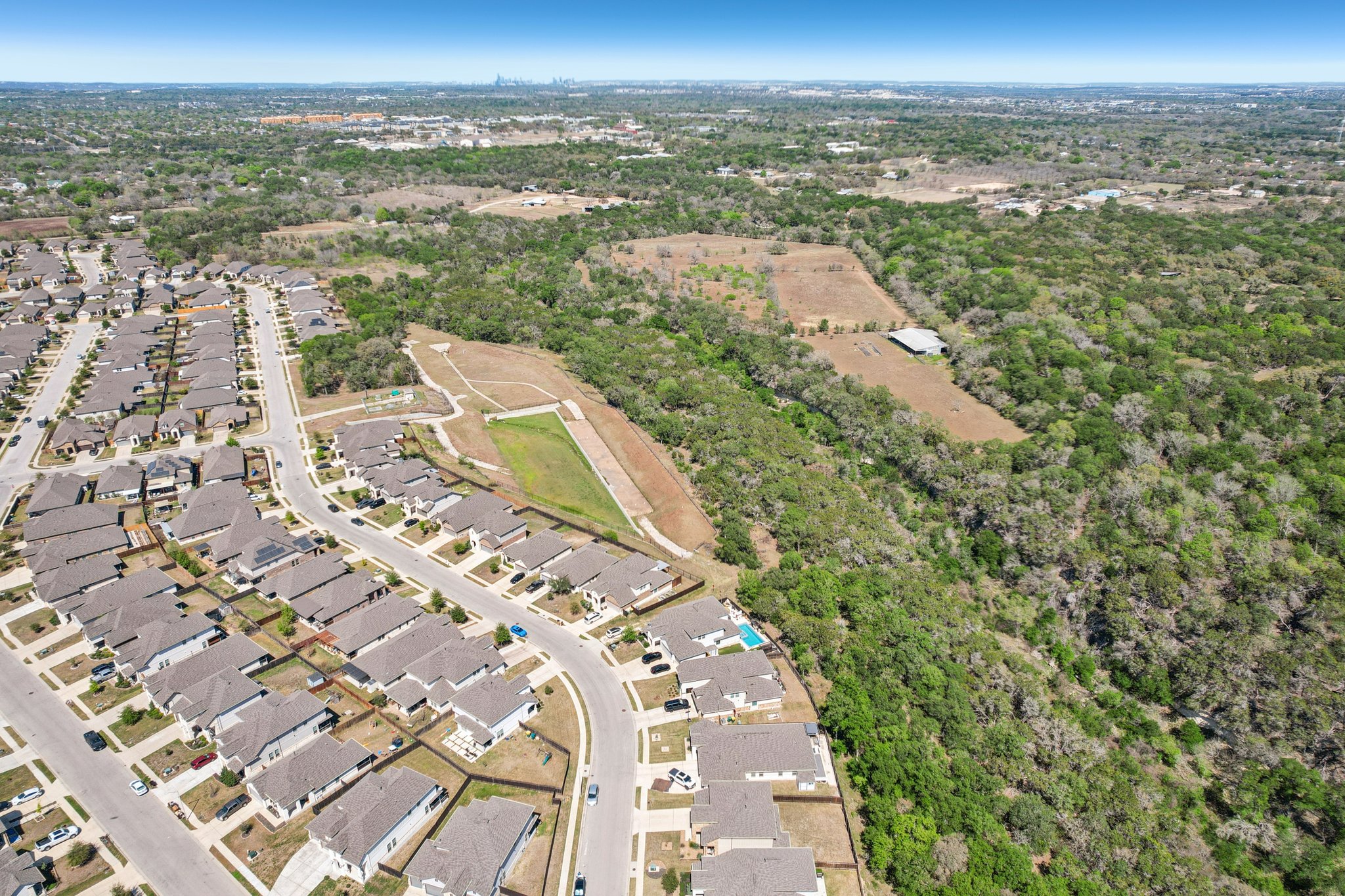 Goldilocks Ln-S2503-054.jpg